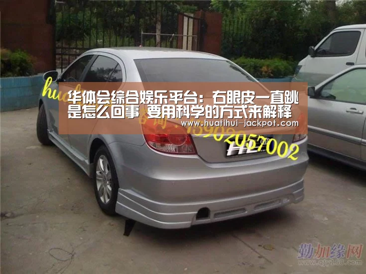 华体会电子游艺